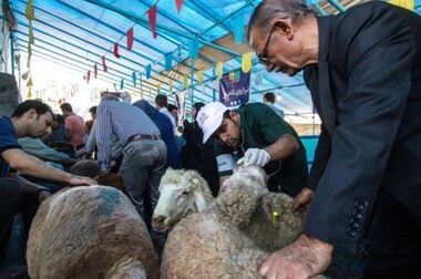 جانباز شدن 3 نفر از همکاران سازمان میادین در جنگ 12 روزه