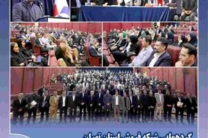 تأکید مدیرعامل بیمه دانا بر تقویت تعامل با شبکه فروش