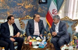 گسترش تعاملات صبانور در راستای استراتژی توسعه