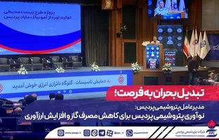 مدیرعامل پتروشیمی پردیس: نوآوری پتروشیمی پردیس برای کاهش مصرف گاز و افزایش ارزآوری 