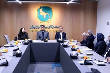 برگزاری جلسه کمیته ویژه درمان سندیکای بیمه‌گران ایران