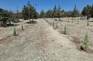 با پخش ۶۰ تن آسفالت ۵۰۰مترمربع از حیاط مدرسه کنی آسفالت شد