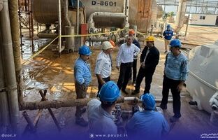 دستیابی به دانش فنی شستشوی شیمیایی رسوبات اکسیدی در پتروشیمی پردیس