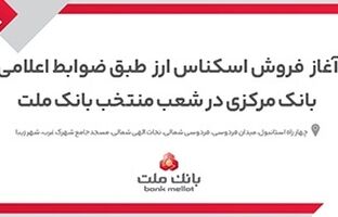 آغاز خرید و فروش ارز در شعب منتخب بانک ملت