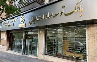 حمایت ویژه بانک توسعه صادرات ایران از صنایع با طرح ” نوید“ / تسهیل تامین سرمایه در گردش با طرح جدید