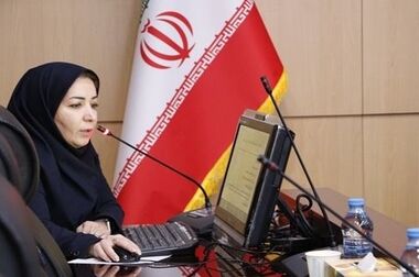 پشتیبانی از زنجیره تامین/ توسعه دیپلماسی تجاری راهبرد کلیدی تجارت خارجی 