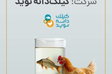 «آی‌بی‌کراد» کسب‌وکار برگزیده تامین مالی جمعی کشور شد