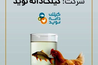بررسی چالش‌ها و فرصت‌های تامین مالی در صنعت نفت