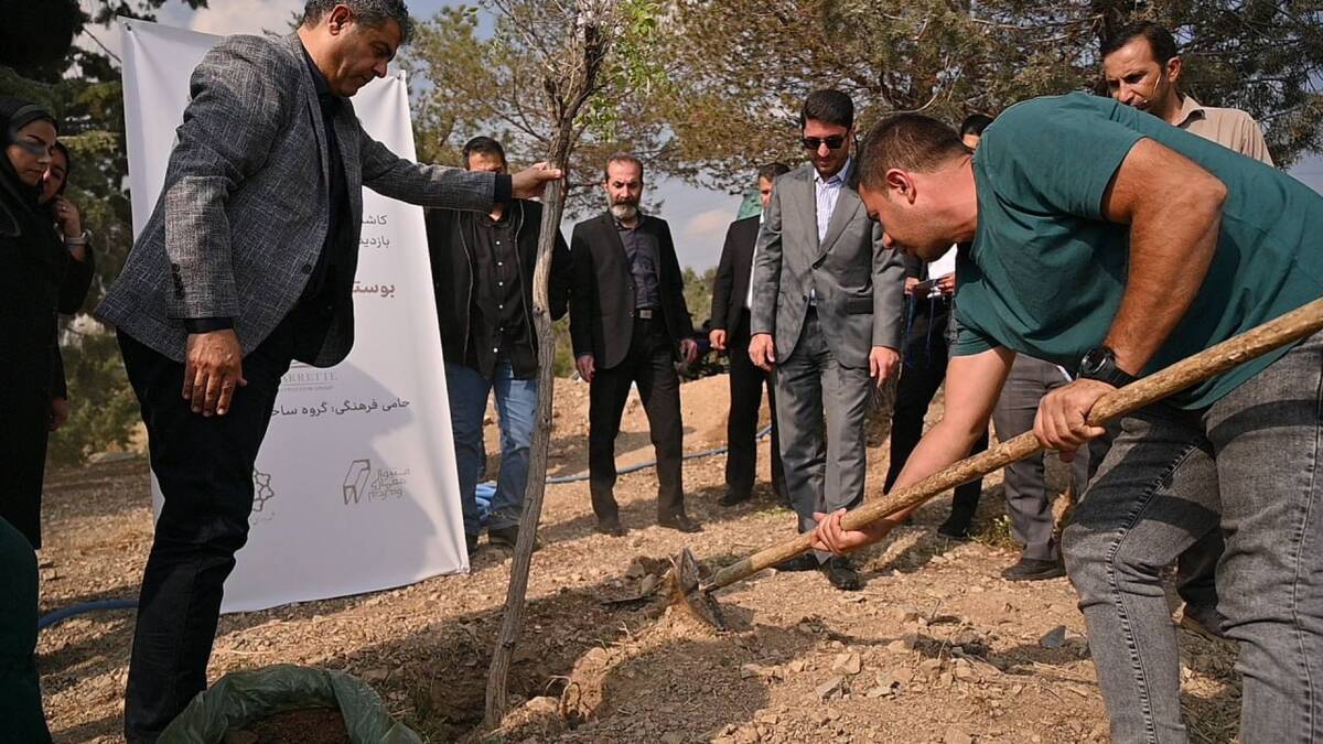  ۴۰۰ نهال به جنگل کاری های سوهانک اضافه شد