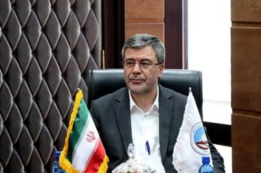 پیام مدیرعامل بیمه ایران به مناسبت سالروز بازگشت آزادگان