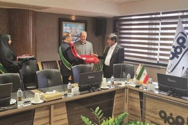 تفکیک سبا؛ افت مقطعی، رشد بلند مدت