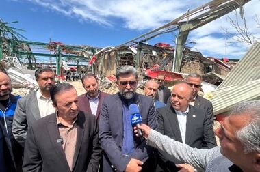 تاکید ایدرو بر ورود سریع طرح تایر هامون به فاز اجرایی
