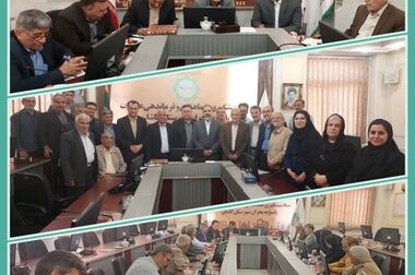 مدیرعامل بیمه «دی» از شعبه تخصصی بیمه‌های درمان بازدید کرد 