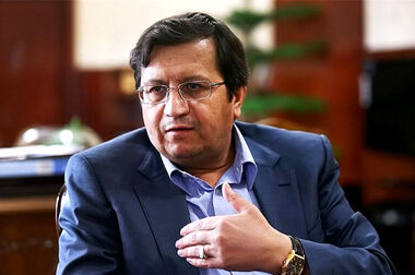 مدنی‌زاده: خلاء قانونی درخصوص خروج بانک‌ها از بنگاه داری وجود ندارد