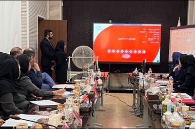 تشریح نحوه خرید ارز مسافرتی از شعب بانک ملت/اینفوگرافیک