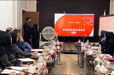 تمدید زمان وکالتی سازی حساب های مشتریان بانک ملت برای خرید خودروهای وارداتی