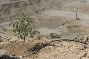مسیر سبز مس ایران برای تأمین پایدار انرژی