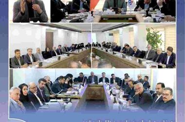 رسانه شریک راهبردی بیمه دانا در مسیر توسعه است