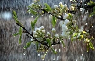 رگبار باران و وزش باد شدید در نقاط مختلف کشور طی روزهای آینده