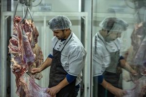 توزیع روزانه 60 تن گوشت در میادین و بازارهای میوه و تره‌بار