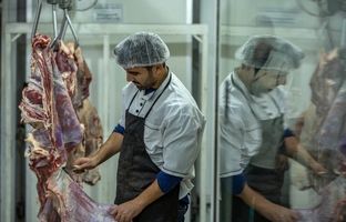 توزیع روزانه 60 تن گوشت در میادین و بازارهای میوه و تره‌بار