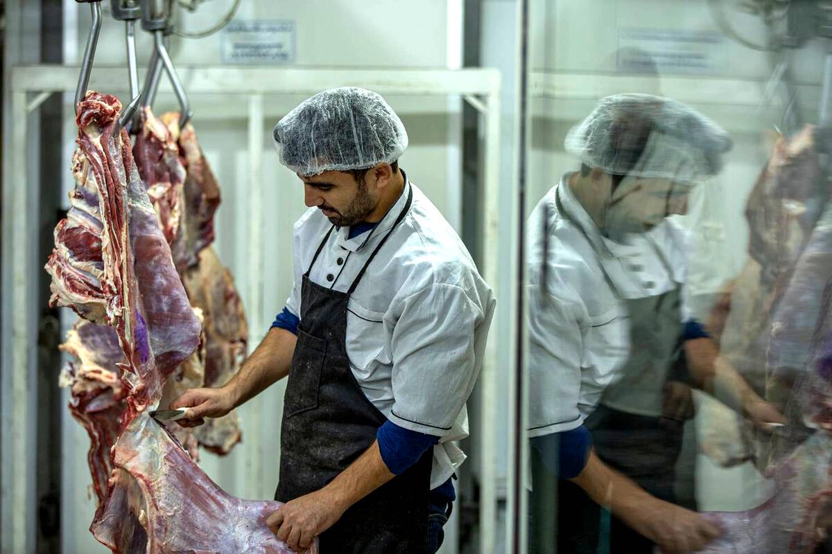 توزیع روزانه 60 تن گوشت در میادین و بازارهای میوه و تره‌بار