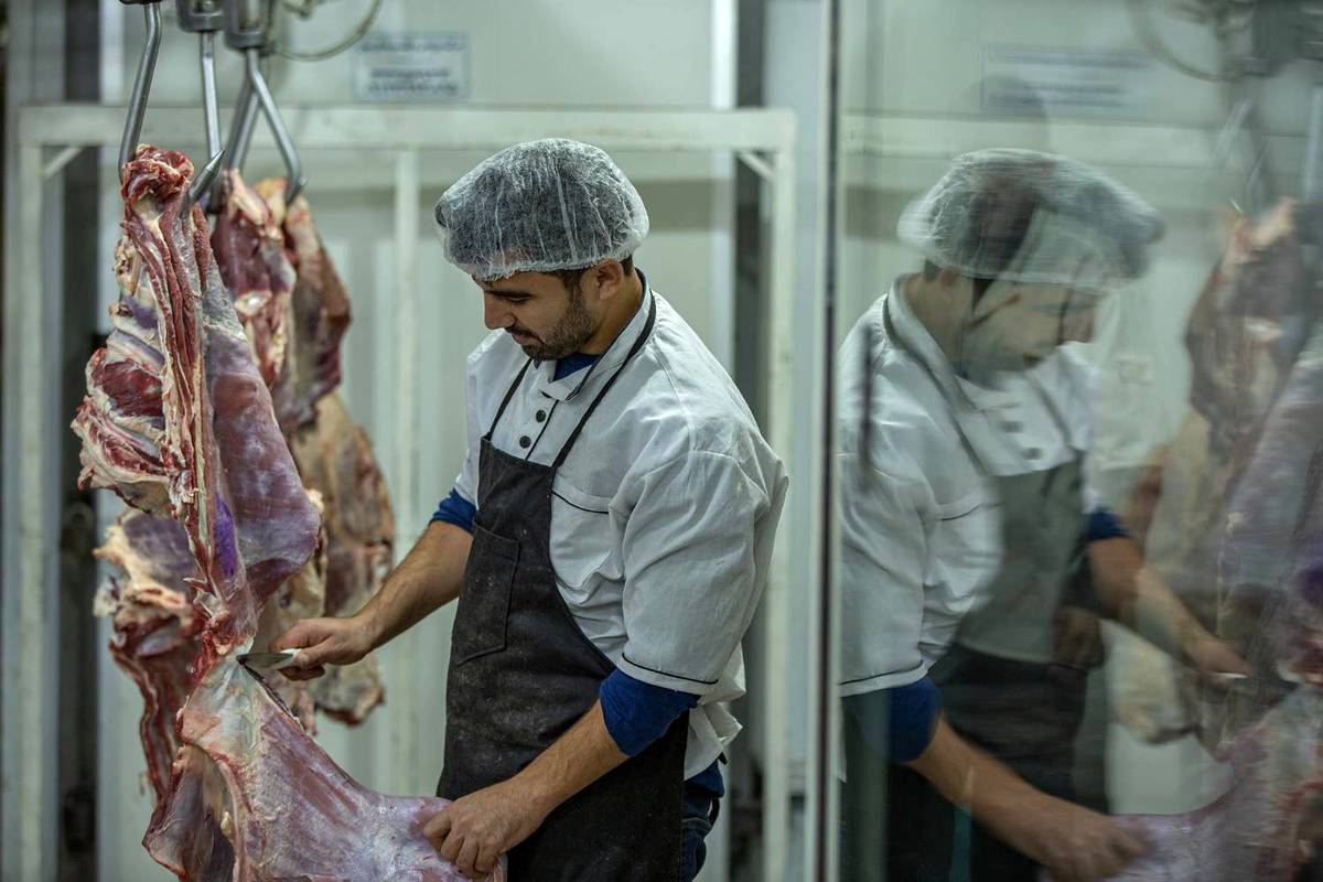 توزیع روزانه 60 تن گوشت در میادین و بازارهای میوه و تره‌بار
