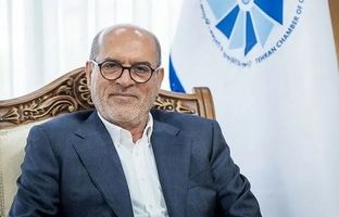 دولت در تامین ارز کالاهای اساسی محدودیت دارد/ موضوعات واجب‌تر از واردات خودرو وجود دارد