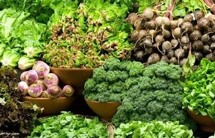 قیمت سبزیجات برگی و غیر برگی اعلام شد