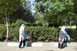 مشارکت بانوان حامی محیط‌زیست منطقه2 در پویش پاکسازی بوستان پردیسان/ بوستان پردیسان میزبان بانوان حامی محیط زیست