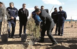 توجه به محیط‌زیست و کاشت نهال در فولاد مبارکه یک ارزش است