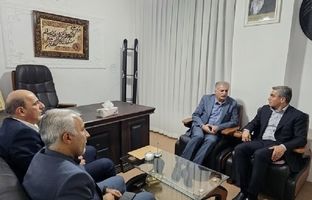 عملکرد بانک مسکن در طرح نهضت ملی مسکن مطلوب است