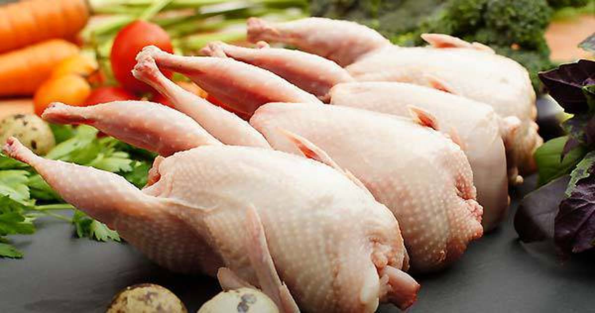 قیمت گوشت  و تخم بلدرچین  اعلام شد