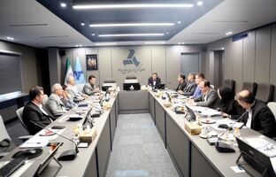 تاکید ایدرو بر ورود سریع طرح تایر هامون به فاز اجرایی