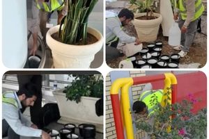 پایش هدفمند پشه آئدس در فرودگاه امام خمینی (ره) 