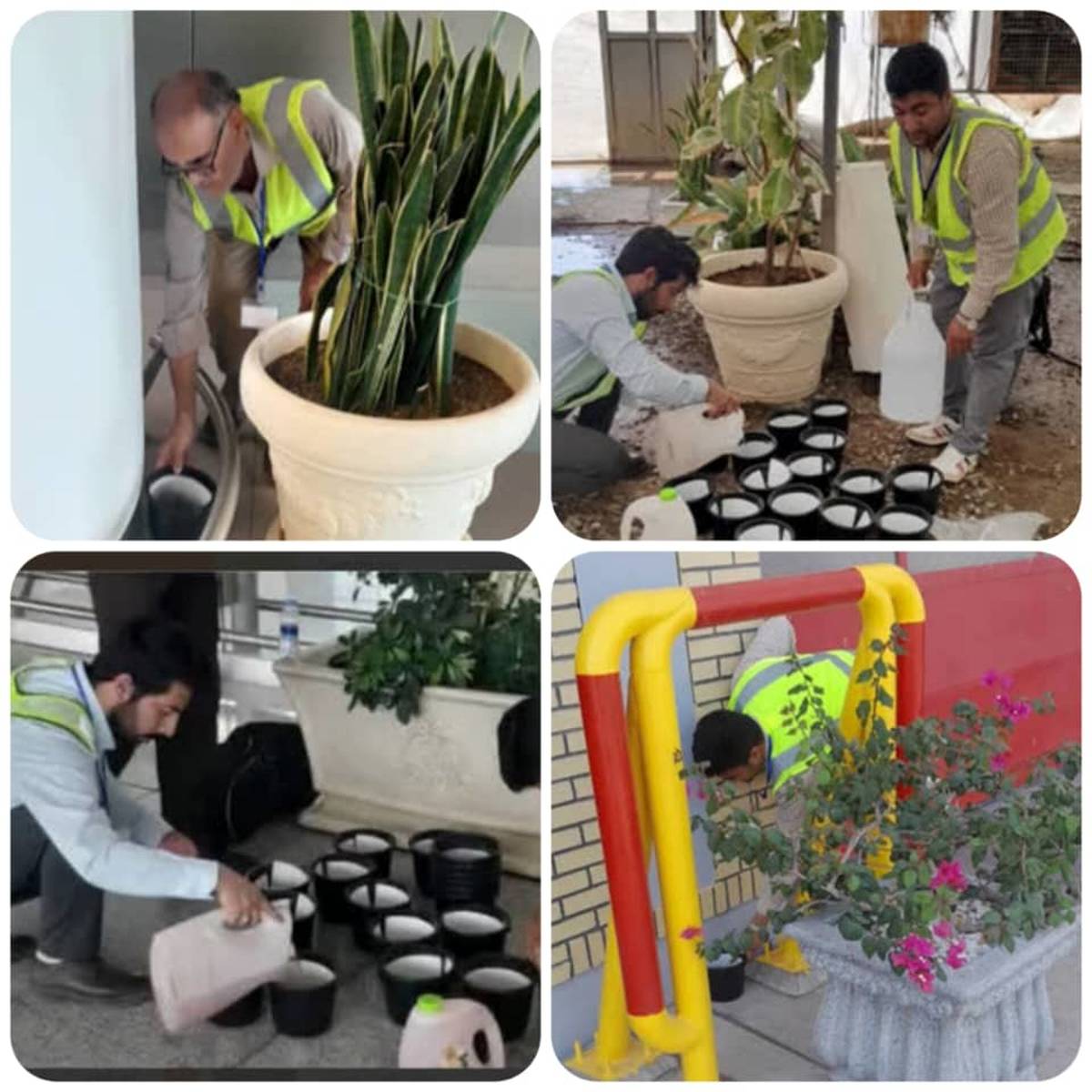 پایش هدفمند پشه آئدس در فرودگاه امام خمینی (ره) 