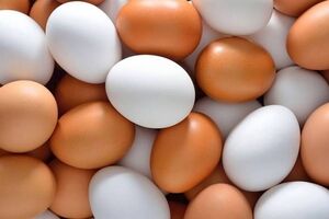 قیمت انواع تخم مرغ پوست سفید و قهوه‌ای اعلام شد    
