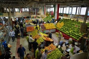 اختلاف قیمت25   درصدی گوشت گوسفندی در میادین و بازارهای میوه و تره‌بار به نسبت سطح شهر 