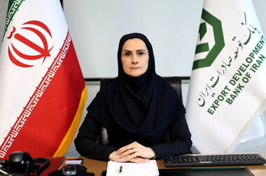 خدمات‌رسانی بانک توسعه صادرات ایران به‌طور کامل از سر گرفته شد