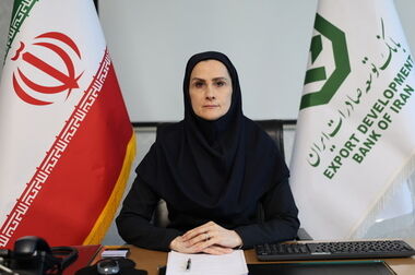 دکتر خانی: هر آنچه حاصل شد، مرهون تخصص، تعهد و همدلی خانواده بزرگ بانک توسعه صادرات ایران است