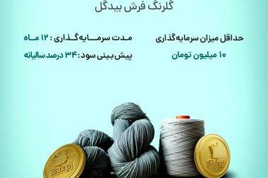 آغاز پویش تامین مالی جمعی شرکت «عالیفرد» از بستر سکوی آی بی کراد
