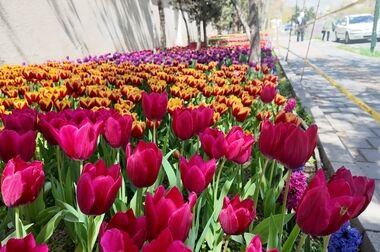 نقطه حادثه‌خیزِ بزرگراه یادگار امام (ره) رفع خطر شد