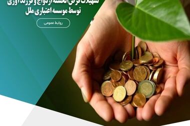 طرحی نو برای حمایت از اشخاص حقوقی و کسب و کارها