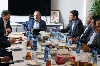 بازدید جمعی از مدیران بیمه رازی از پلنت