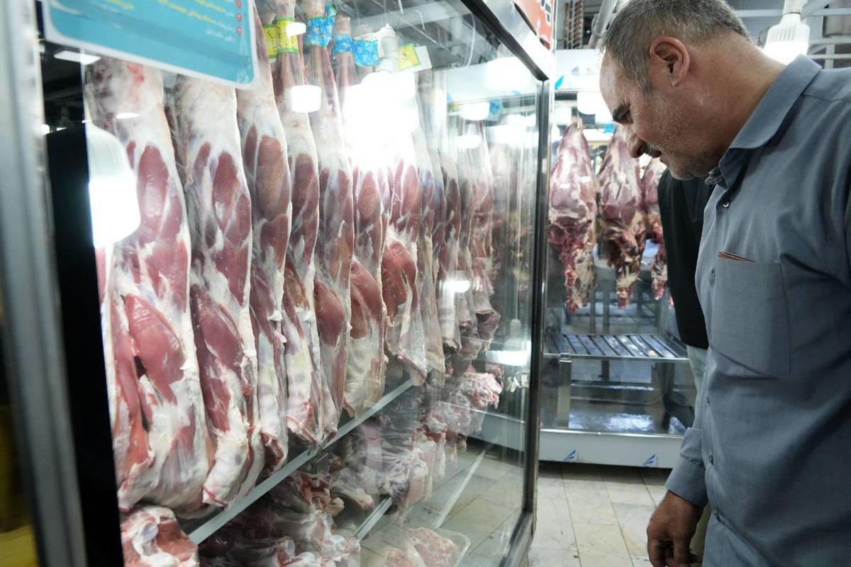 گوشت تولید داخل 30 درصد ارزان‌تر از سطح شهر در غرف بازارها و میادین میوه و تره‌بار
