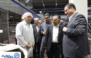 بانک تجارت حامی توسعه و افزایش توان تولیدی «دومینو»