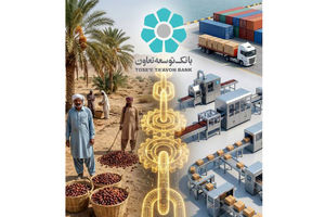 ابتکار عمل حاکمیتی وزارت تعاون، کار و رفاه اجتماعی با تبیین نقش عملیاتی بانک توسعه تعاون