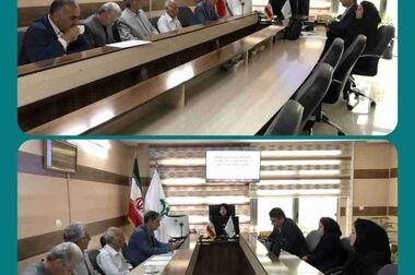 تقدیر رئیس هیئت‌مدیره کانون بازنشستگان شرکت توزیع نیروی برق استان کرمانشاه از خدمات بیمه دی