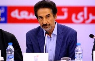 ورود سرمایه گذار به زنجیره ارزش باید توجیه اقتصادی داشته باشد