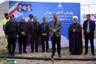 عبور از مرز ۳۰۰ هزار اصله درخت، درختچه و انواع گل در سال ۱۴۰۴